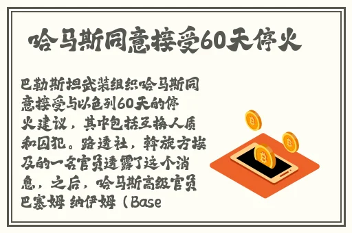 网站你们懂的